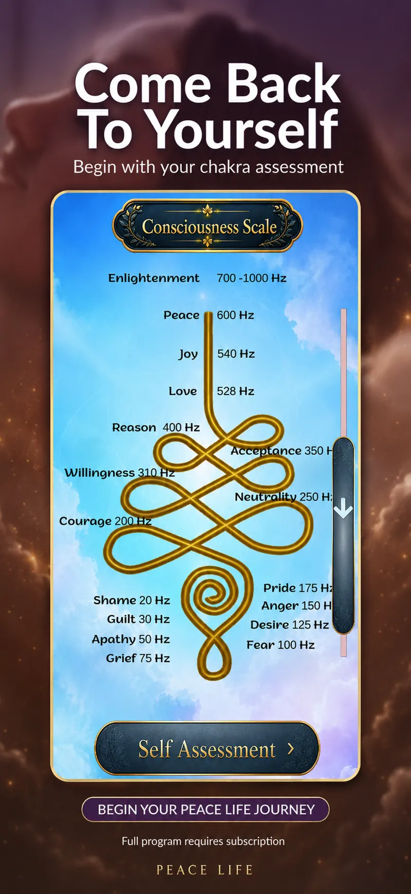 Peace Life come back to yourself consciousness scale and self assessment