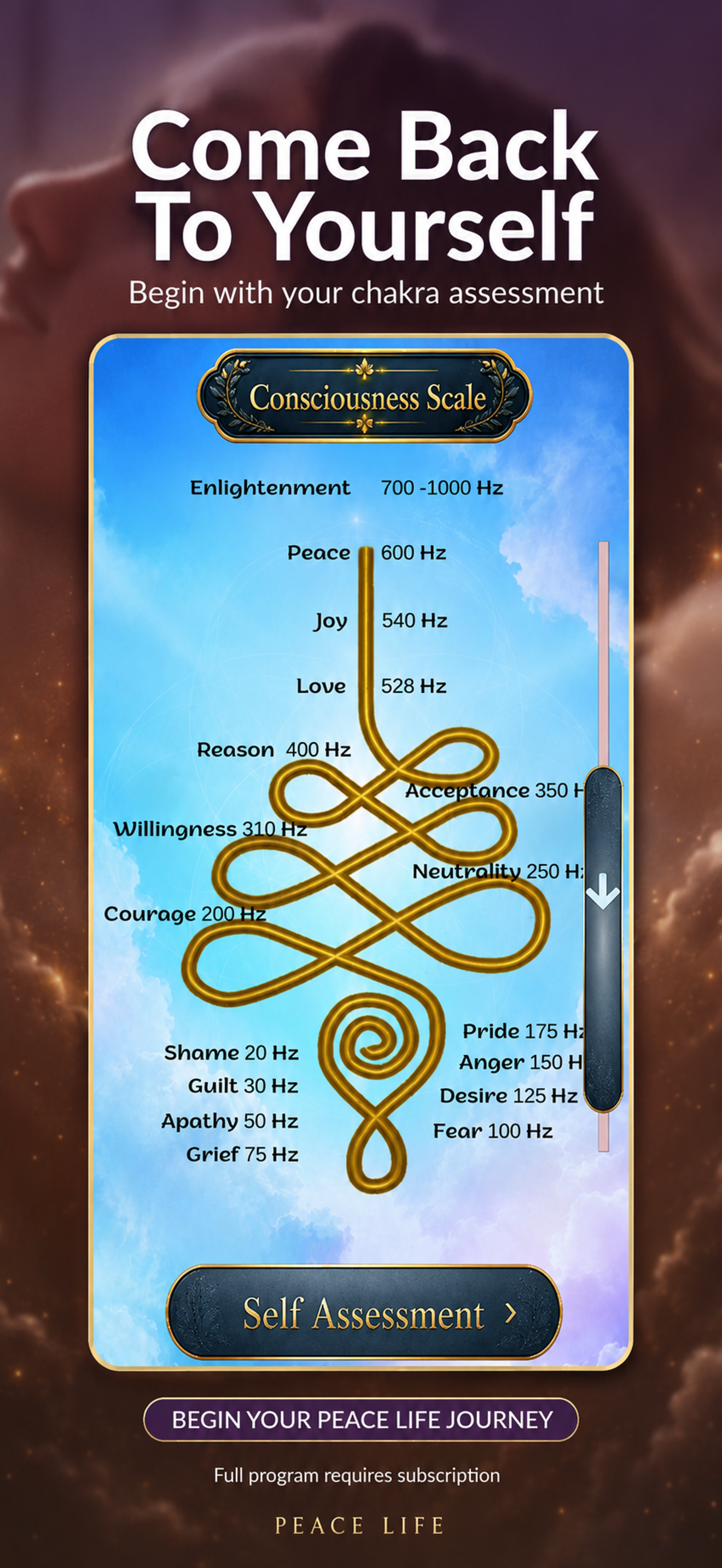 Peace Life come back to yourself consciousness scale and self assessment